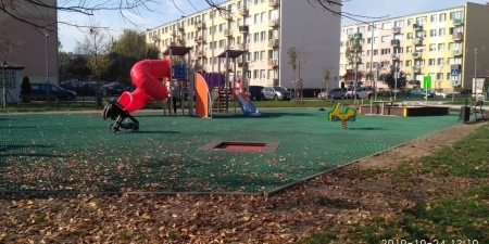 zdjęcie