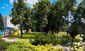 Park im. Jana Pawła II drzewa krzewy