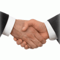 partnerzy