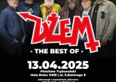 1740637258_dzem-1200x1200-piotrkow