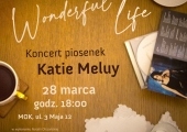 1741020100_wonderful-life-net
