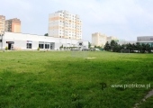 DSC_4403 (1)