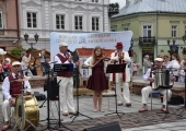 gołębie (12)