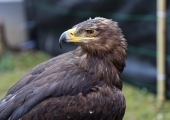 image00060