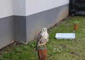 image00091