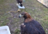 image00095