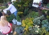 IMG-20240512-WA0004