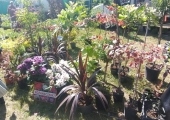 IMG-20240512-WA0008
