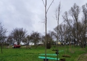 IMG_20240322_091950