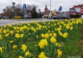 img20260408092659-1775729211
