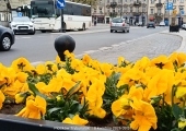 img20260408095132-1775729157