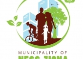 Ness Ziona logo
