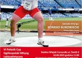 Plakat VI Polanik Cup