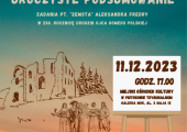 Podsumowanie projektu Zemsta 11.12.2323