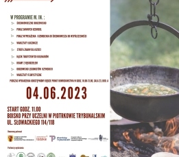 X piknik historyczny (7)