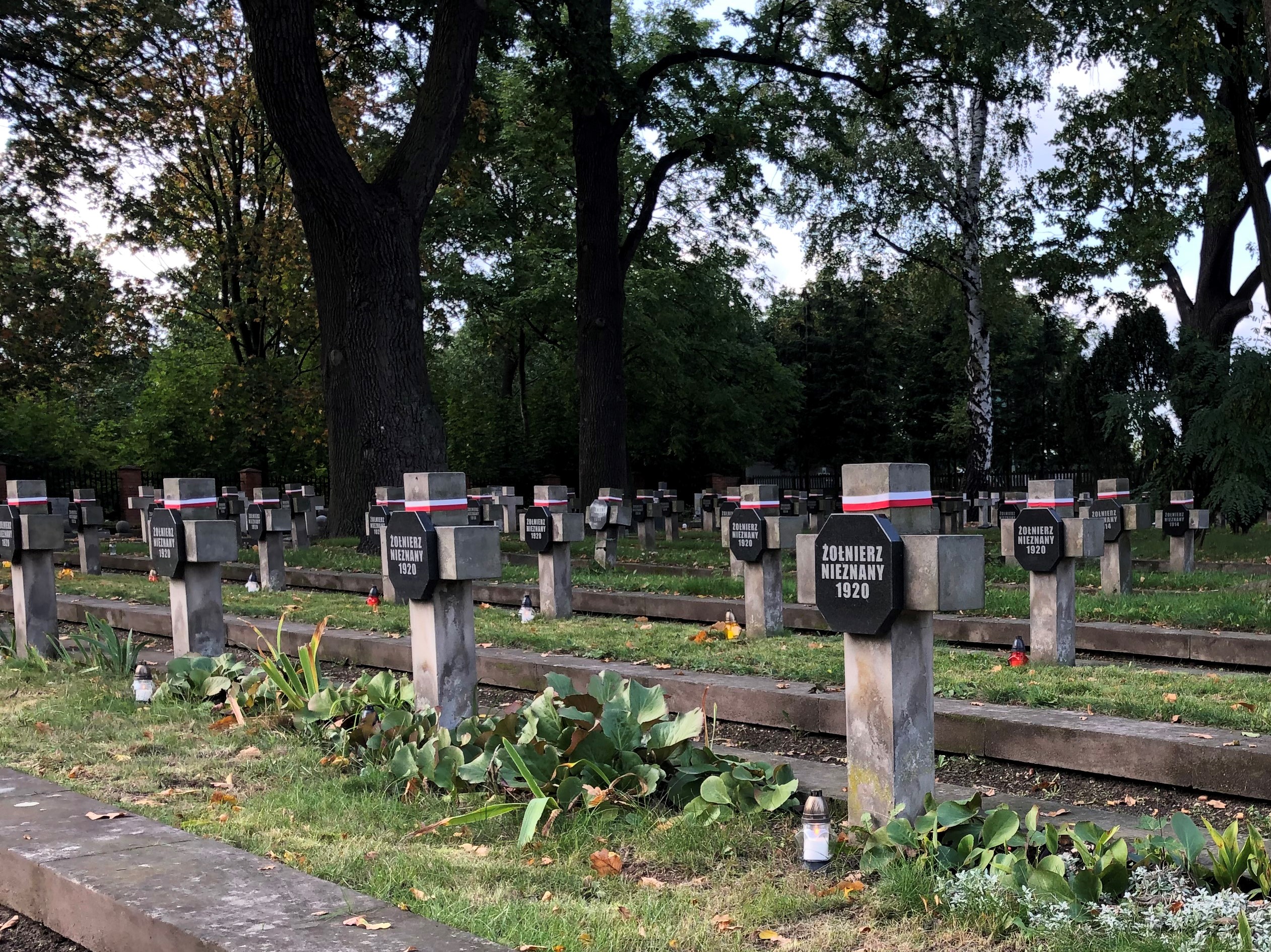 Cmentarz Rzymskokatolicki W Piotrkowie Trybunalskim Piotrków Trybunalski - Oficjalny portal miejski | Posprzątali Cmentarz