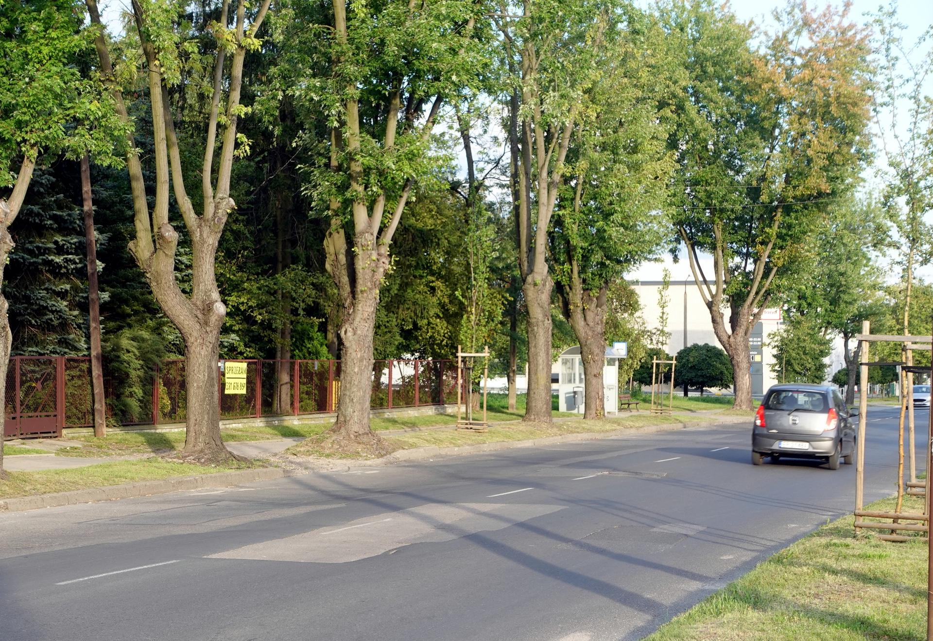 Wojska Polskiego 77 Piotrków Trybunalski Piotrków Trybunalski - Oficjalny portal miejski | Przygotowujemy się do