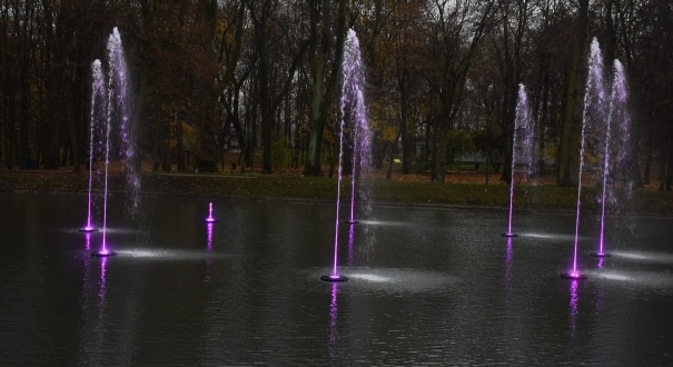 DSC_2944