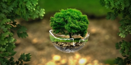 environment-2196690_1280 (1)