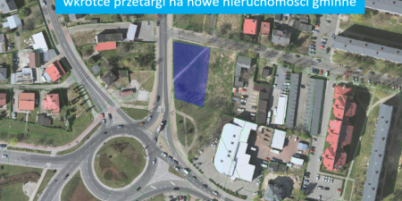 obraz7