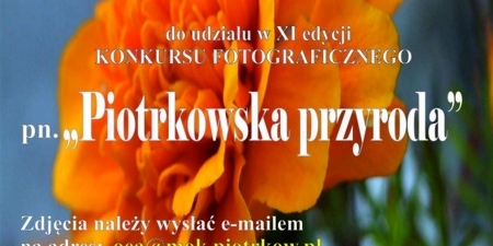 Piotrkowska przyroda XI czerwiec 2021rok mini