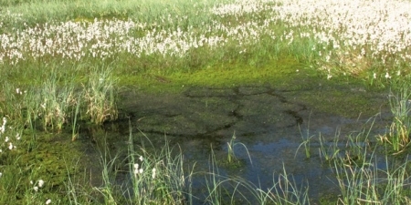 promocja_projektu_-_PLAKAT_spotkania_1_instytucje_PKWŁ_i_SulPK__kopia_2