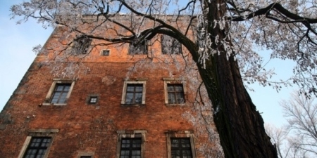 u-krola-zygmunta-1677486714